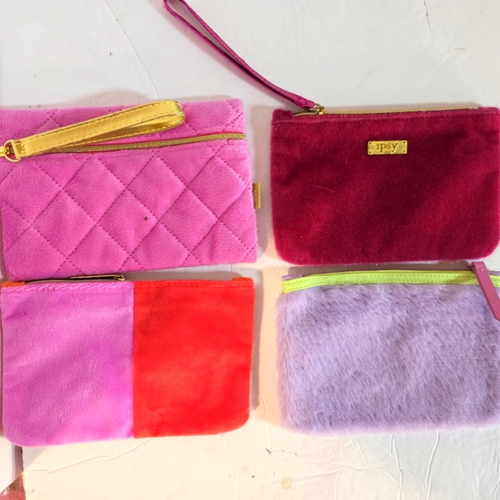 Ipsy makeup/coin purse - Picture 1 of 8